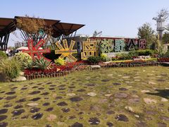 -上海长兴岛郊野公园