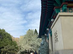 -山东师范大学(千佛山校区)