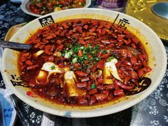 -青城甲(青城山店)