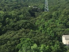 -普陀山佛顶山索道