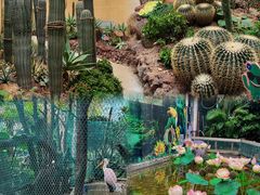 -正佳雨林生态植物园