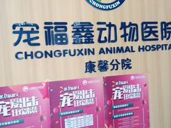 -宠福鑫康馨动物医院·骨科·眼科