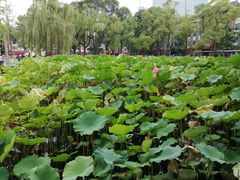 -四川大学(望江校区)
