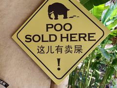 -大象粑粑造纸公园