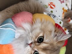 -3W咖啡(国家软件园店)