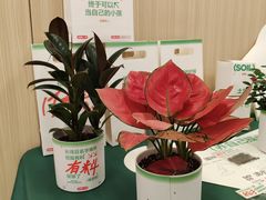 -曼朗心理咨询·旗舰店