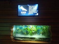 -太平洋海底世界