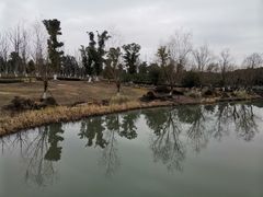 -九科绿洲