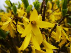 -白塘生态植物园