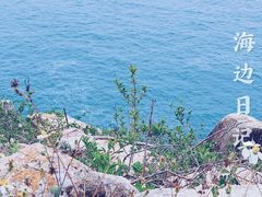 -广东惠东海龟国家级自然保护区
