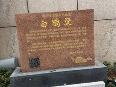 -白鹤梁水下博物馆