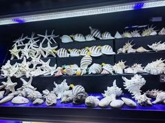 -大连圣亚海洋世界