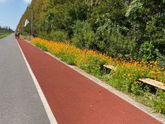 -上海长兴岛郊野公园