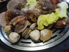 花蛤-黄寺蒸汽海鲜(黄寺大街店)