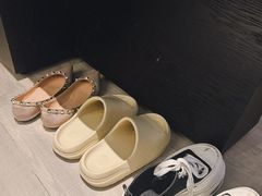 -新加坡乌节希尔顿酒店 (SG Clean)
