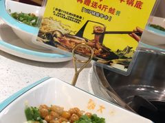 -蛙一刀·麻椒鱼火锅(金仙桥店)