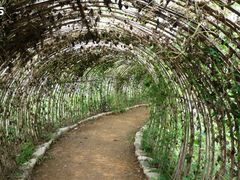 -紫海香堤香草艺术庄园