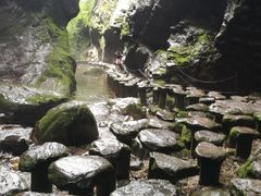-牛背梁国家森林公园