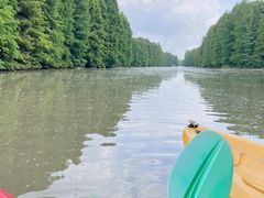 -上海海湾国家森林公园