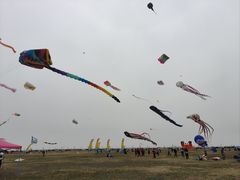 -潍坊滨海云门国际风筝放飞场