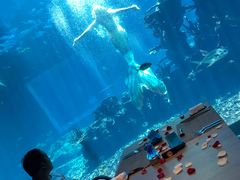 -海棠湾洲际-涛·海底餐厅·美人鱼·自助餐·海底隧道