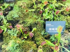 -国家植物园南园