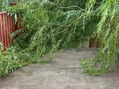 -元大都城垣遗址公园