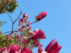 -洋湖国家湿地公园