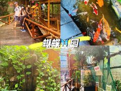-上海大自然野生昆虫馆(东方明珠·爬宠昆虫探索中心)