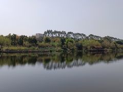 -琴亭湖公园