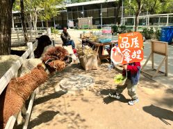 -优沃得自然教育农场·冰雪乐园·生日会·研学