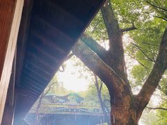 -杭州双溪漂流景区