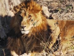 -石家庄市动物园