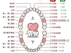 -茂菊口腔连锁(浦东南路店)