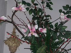 -韵道养生.足道.按摩.SPA(古美店)