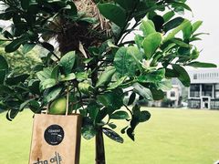 -CEMENT·coffee bar (凤凰创意园店)