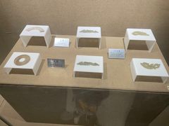 -洛阳周王城天子驾六博物馆