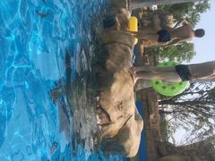 iphone_upload_pic-上海玛雅海滩水公园