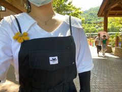 -东部华侨城
