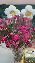 -亮丽妈妈·催乳通乳·产后恢复(万达店)