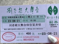 -中街刘老根大舞台