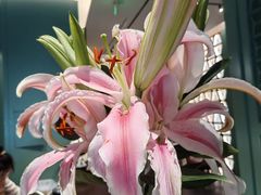 -南堂馆·新川菜(春熙路店)