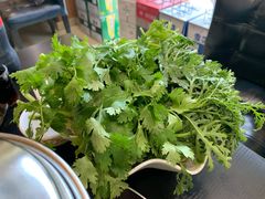 青菜拼盘-鼎宏干锅牛肉(富城时代店)