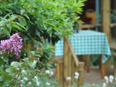 啤酒花园-北京港澳中心瑞士酒店·瑞士咖啡厅·自助餐