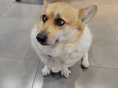 -阿木舂记·特色小吃(平江路店)