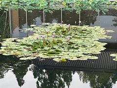 -西湖国宾馆·紫薇厅