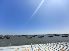 -东风市场(民治路店)