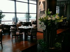 -梧桐餐厅(泉城路店)