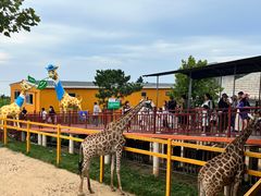 -西霞口神雕山野生动物世界