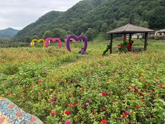 -关山草原